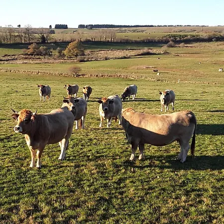 L'oustal D'aubrac Σπίτι διακοπών