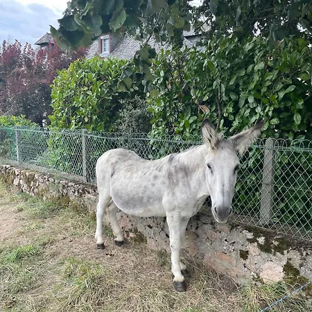 L'oustal D'aubrac Semesterbostad *