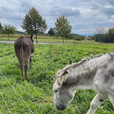 度假居 L'oustal D'aubrac Le Nayrac